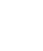 nexus