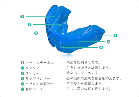 筋機能矯正システムmyobraceの機能